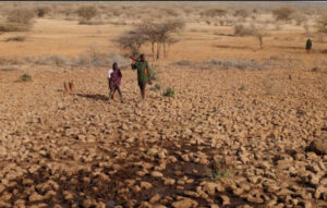 drought-thumbnail